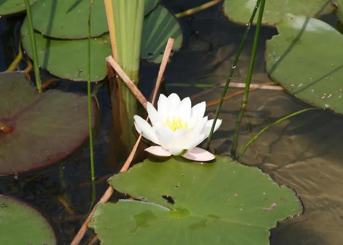 Ferm Pensjonat Schiefling am See